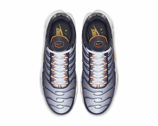 Nike Air Max Plus Dark Obsidian Orange Peel Obsidian Mist CI2299-400