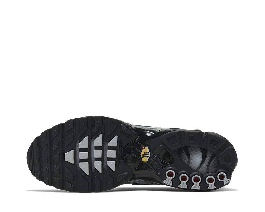 Nike Air Max Plus Pure Platinum / Black CT2542-001