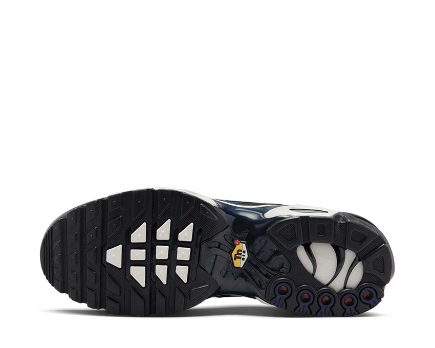 Nike Air Max Plus SE Black / Obsidian - Summit White - Black DV7665-001