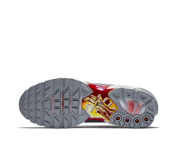 Nike Air Max Plus SE Wolf Grau