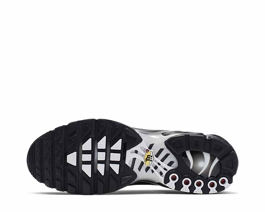 Nike Air Max Plus TN SE Black Metallic Silver White CI7701-002