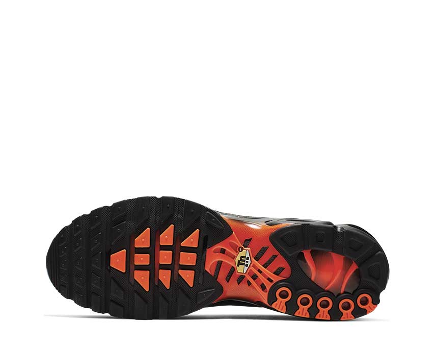 Nike Air Max Plus TN SE Hyper Crimson CI7701-001