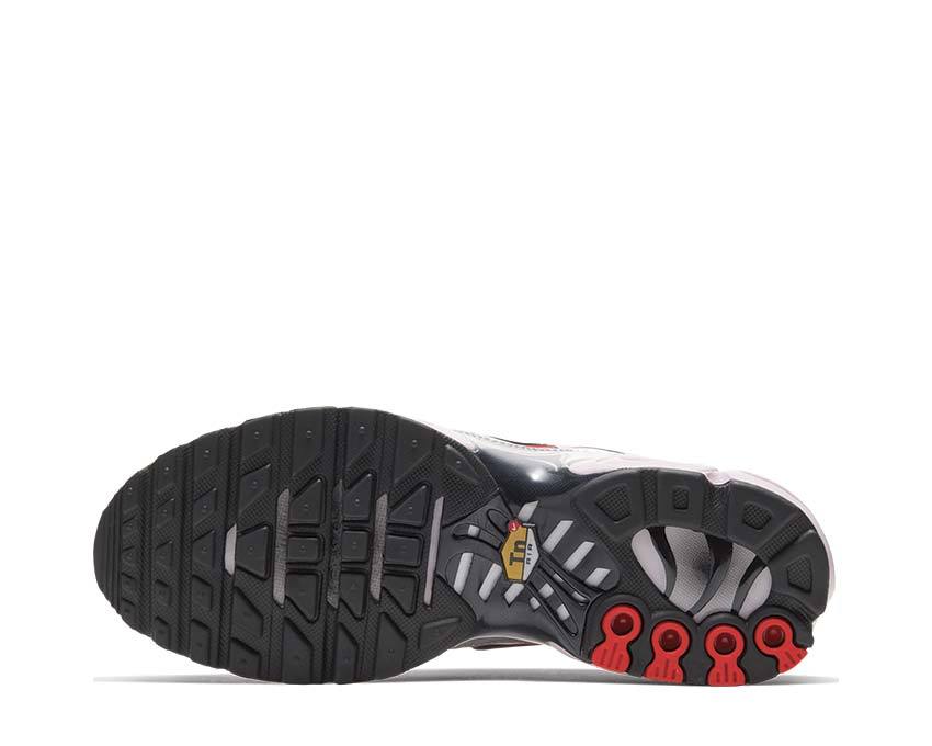 Nike Air Max Plus W Metallic Silver / Black - Bright Crimson CT2545-001