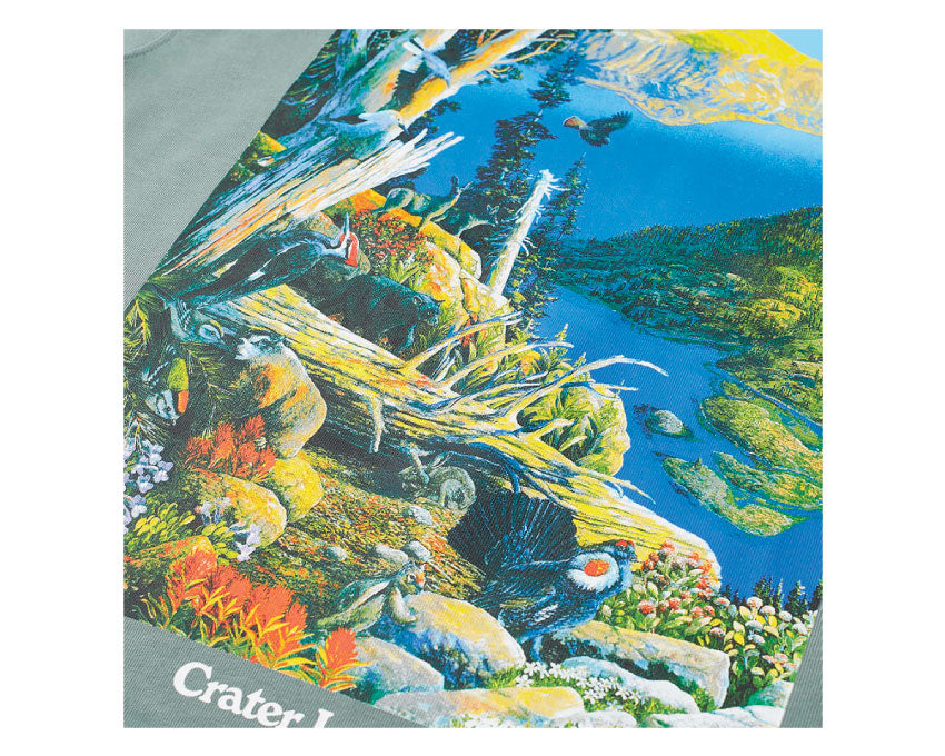 Nike M NRG ACG Crater Lake Tee Clay Green / White DA4877-365