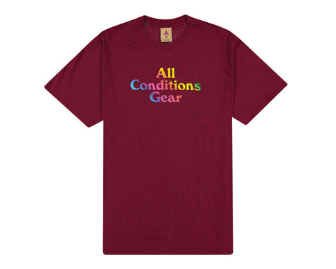 Nike M NRG ACG SS Tee Gradient Dark Beetroot / Multi Color / Black CV7547-638