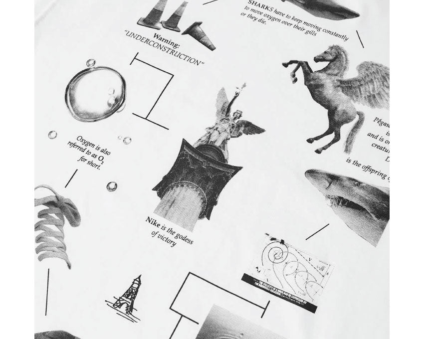 Nike NRG Tee Pegasus White DM2352-100