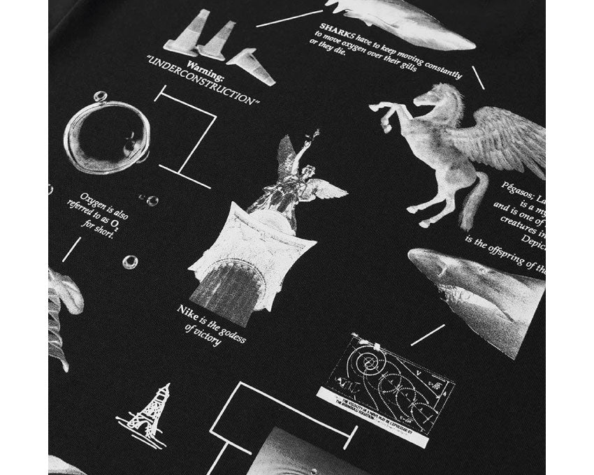 Nike NRG Tee Pegasus