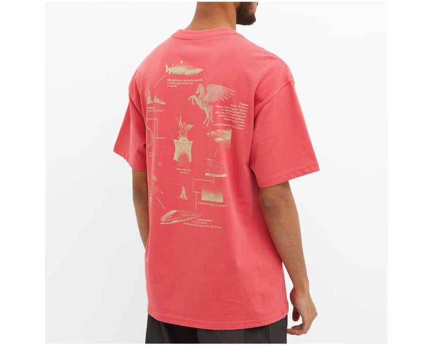 Nike NRG Tee Pegasus Archeo Pink DM2352-622