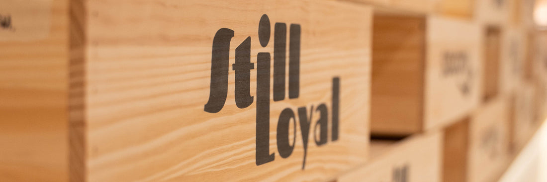 Still Loyal, Still Around the (á)Table