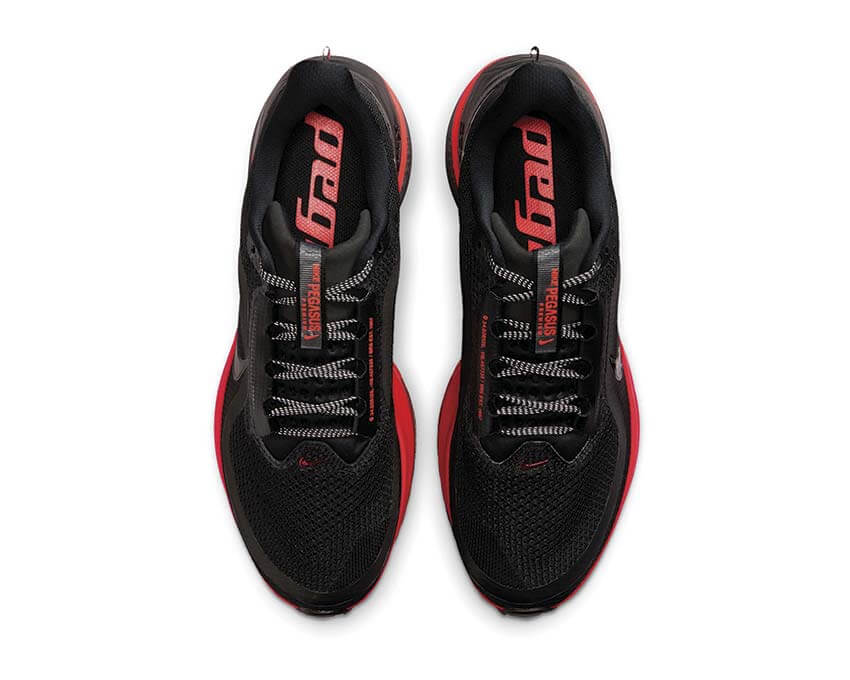 Nike Pegasus Premium "Black"