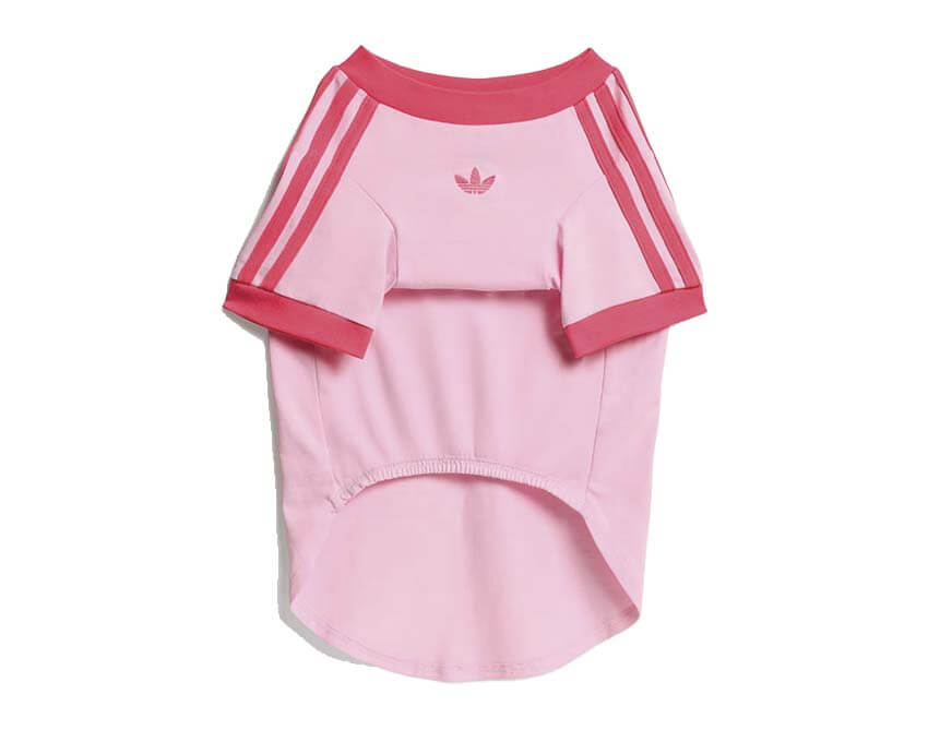 Adidas Pet Cali Tee KY8729
