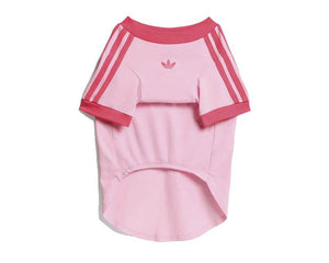 Adidas Pet Cali Tee KY8729