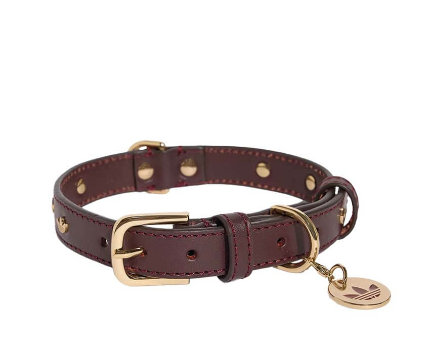 Adidas Pet Collar KY8799