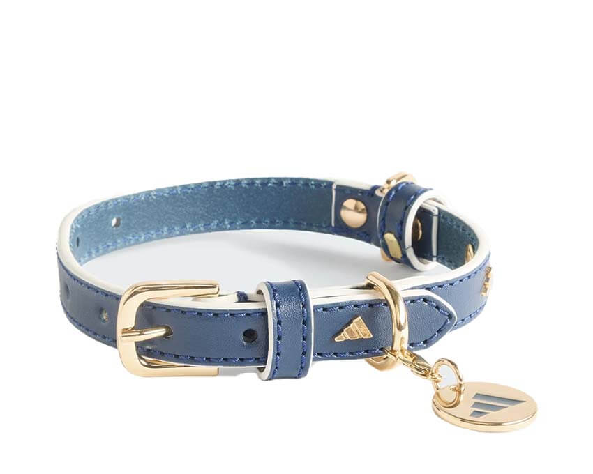Adidas Pet Collar Real Madrid KY7701