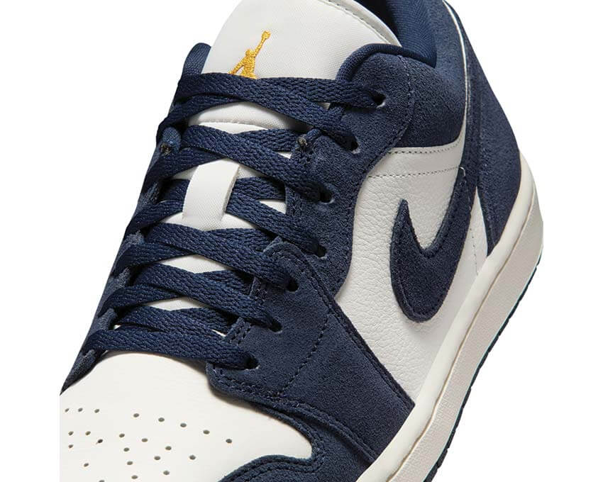 Air Jordan 1 Low SE Obsidian | NOIRFONCE