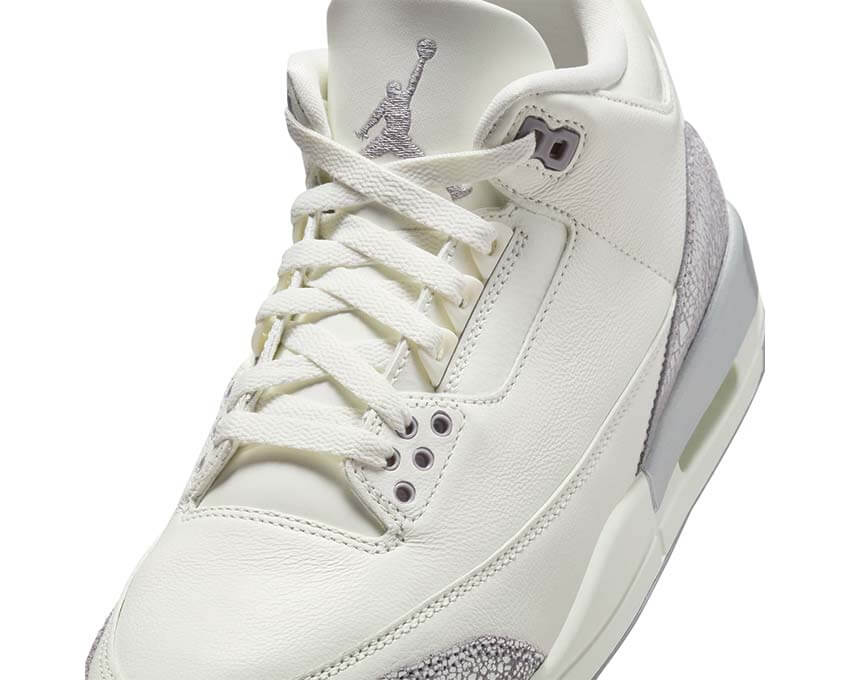 Air Jordan 3 Retro CK9246-100