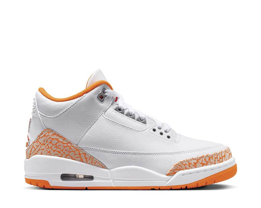 Air Jordan 3 Retro CK9246-101