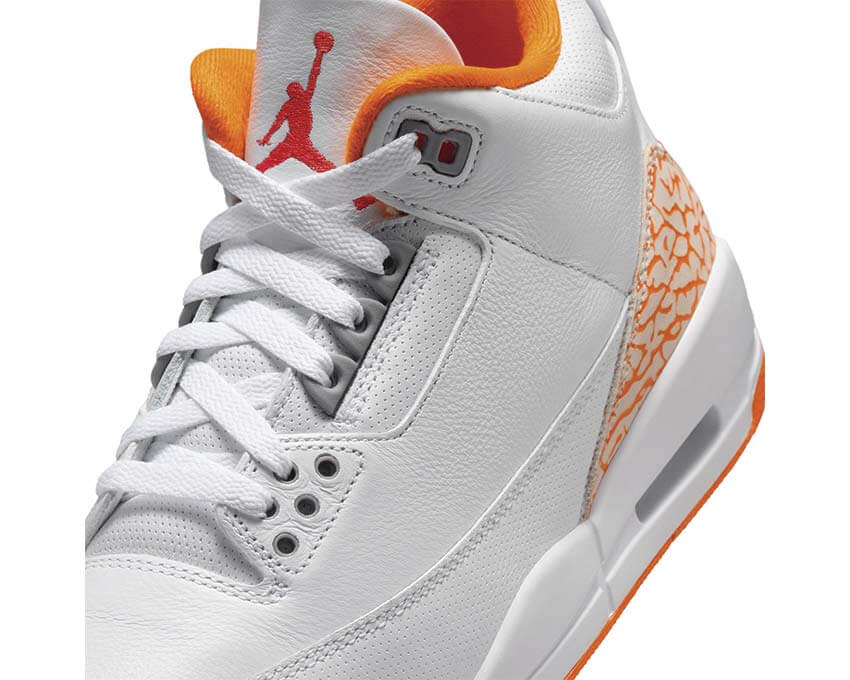 Air Jordan 3 Retro CK9246-101