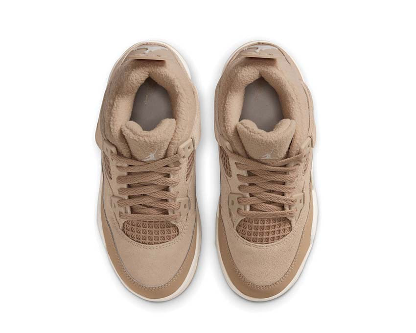 Air Jordan 4 Retro PS HV4385-200