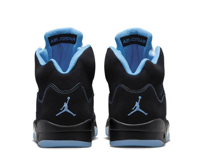 Air Jordan 5 Retro DD0587-008