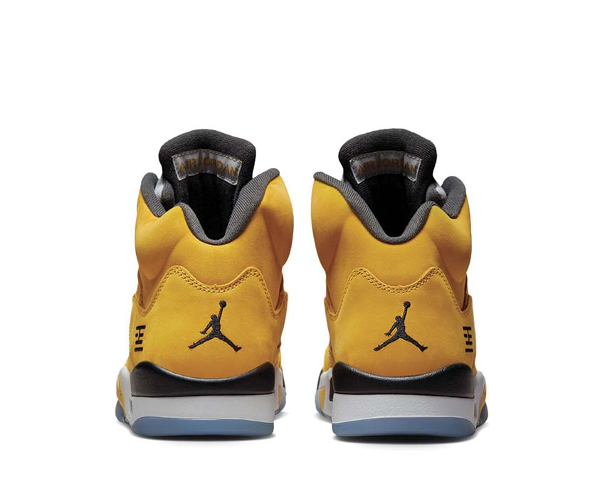 Air Jordan 5 Retro IO3372-700