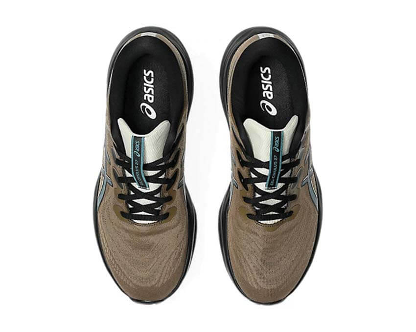Asics Gel Cumulus 27 GTX Clay Canyon | NOIRFONCE