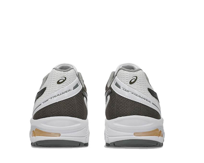 Asics Gel DS Trainer 14 1203A607-109