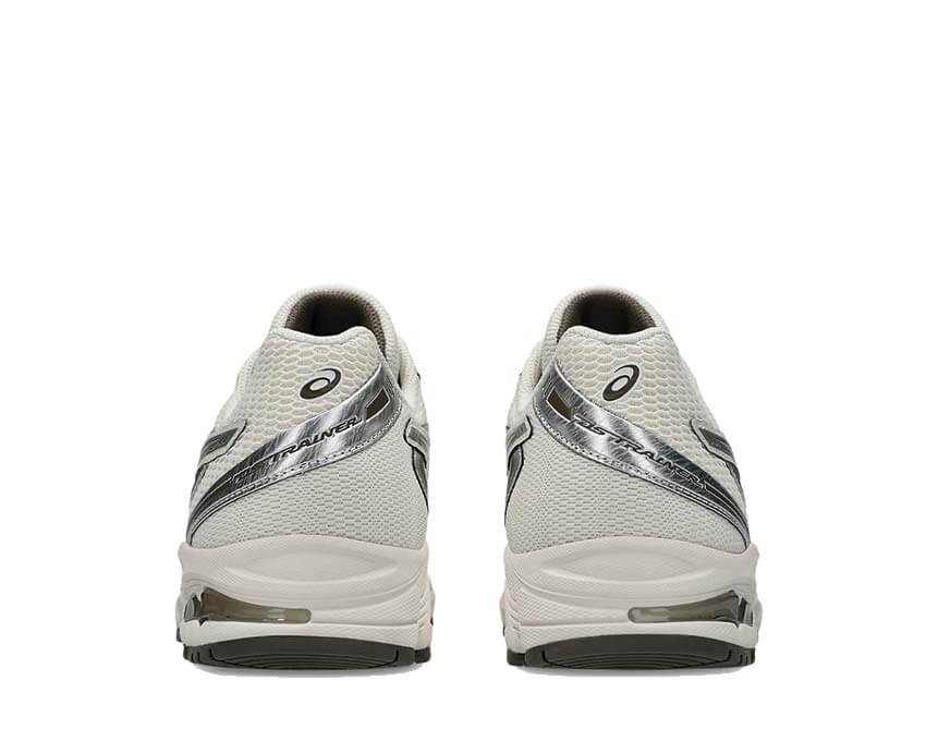 Asics Gel DS Trainer 14 1203A607-110