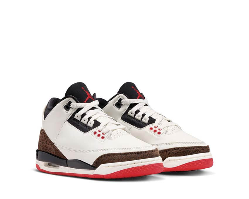 Air Jordan 3 Retro GS 