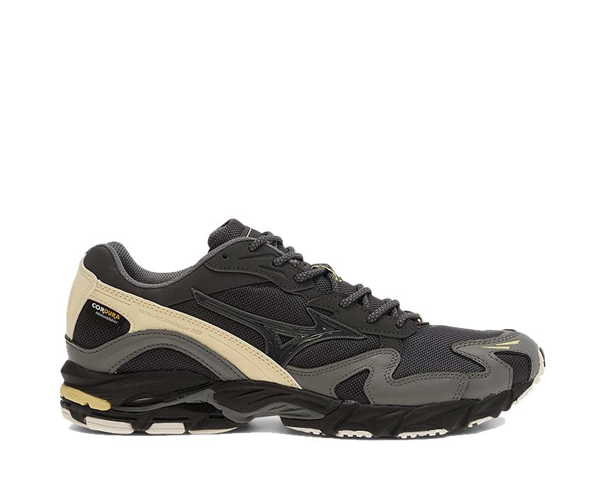 Mizuno Wave Rider 10 Cordura Chicory Coffee | NOIRFONCE