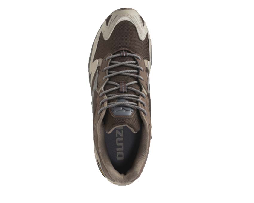Mizuno Wave Rider 10 Cordura Chicory Coffee | NOIRFONCE