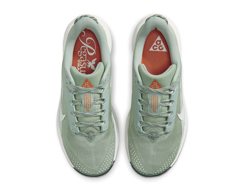 Nike ACG Pegasus Trail HV8116-310