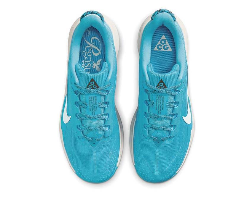 Nike ACG Pegasus Trail HV8116-400