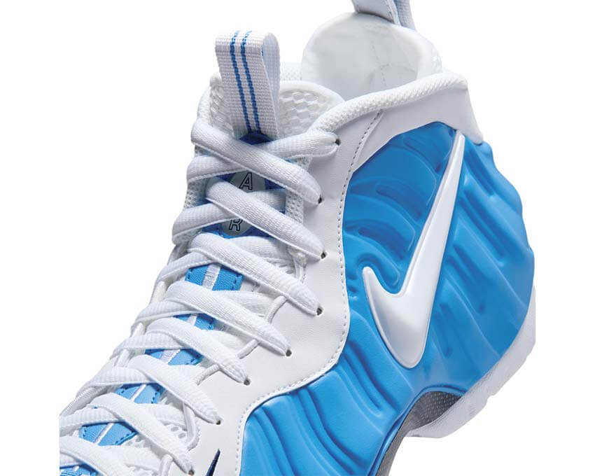 Nike Air Foamposite Pro HF0794-400