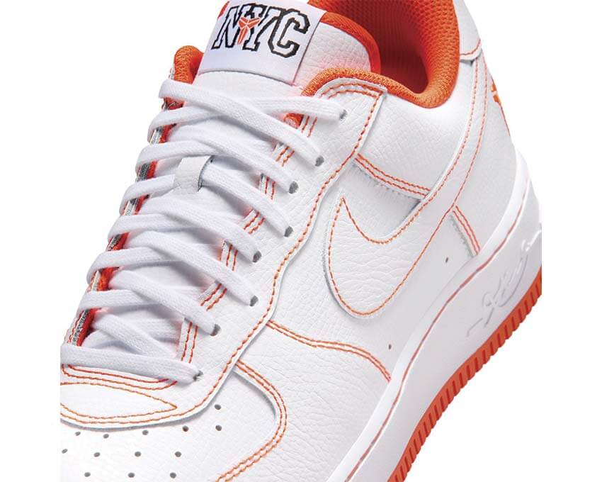 Nike Air Force 1 Low Protro IQ3921-100