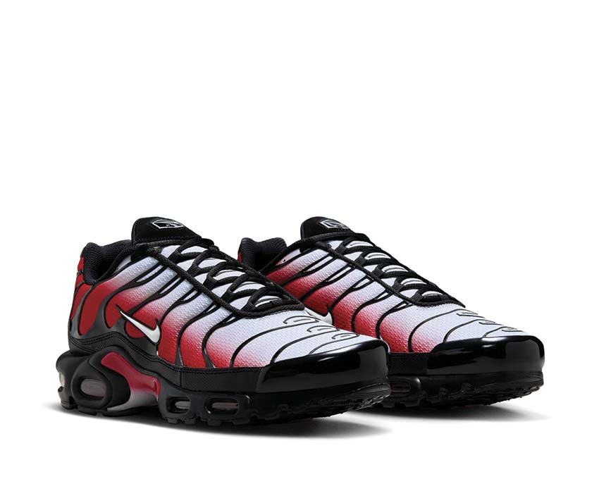 Nike Air Max Plus DM0032-017 