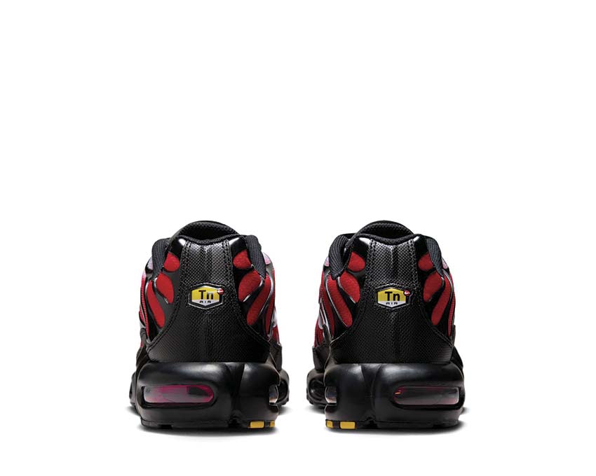 Nike Air Max Plus DM0032-017 