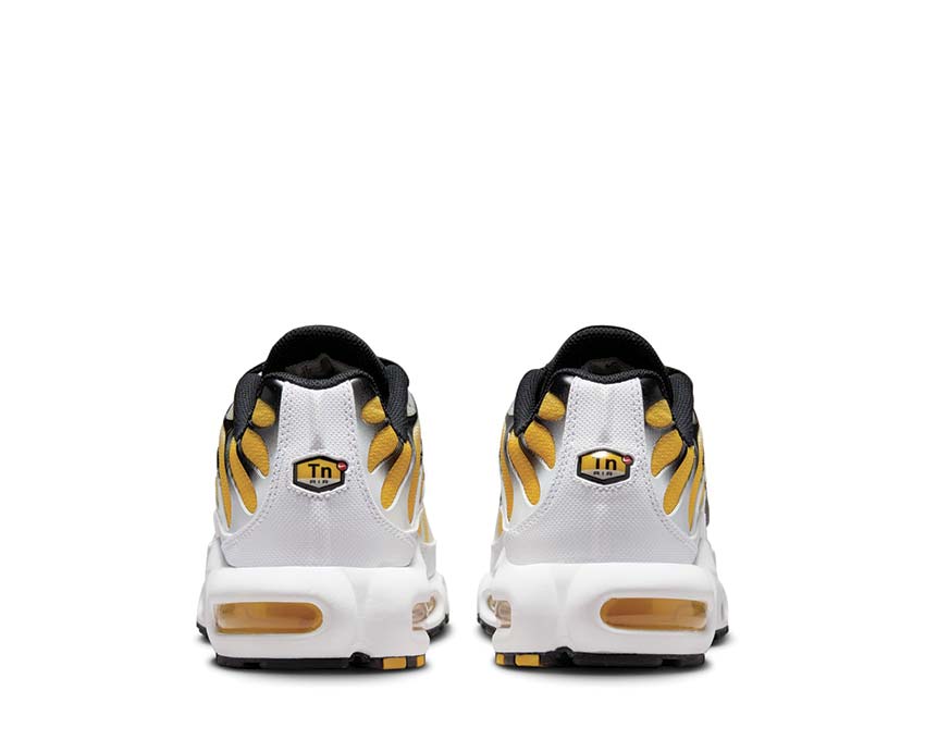 Nike Air Max Plus DM0032-104