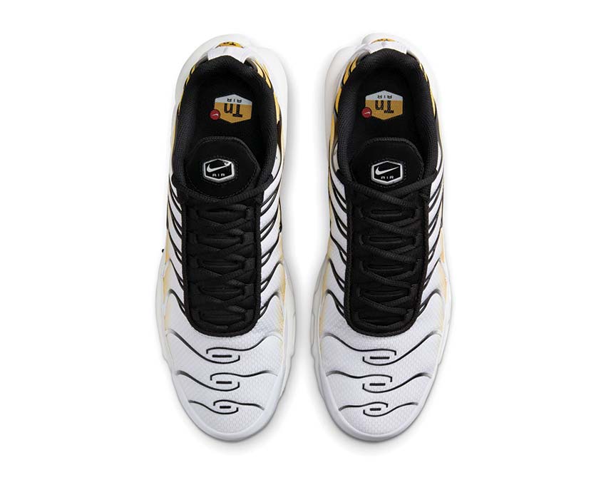 Nike Air Max Plus DM0032-104