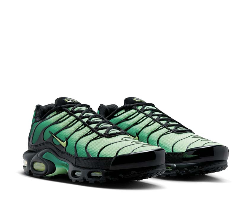  Nike Air Max Plus DM0032-301