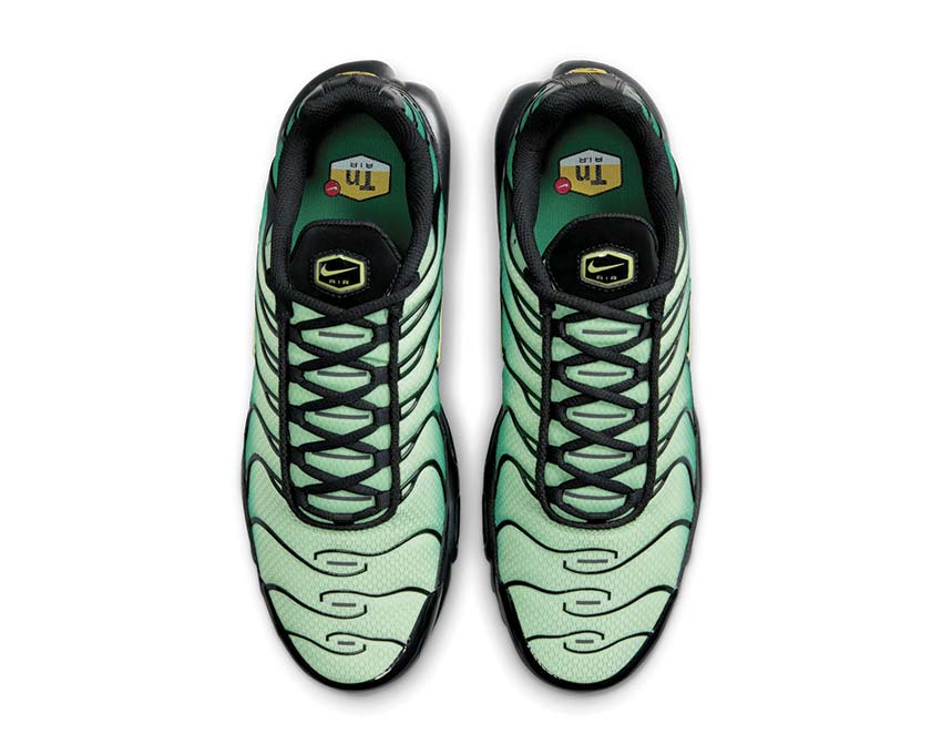  Nike Air Max Plus DM0032-301