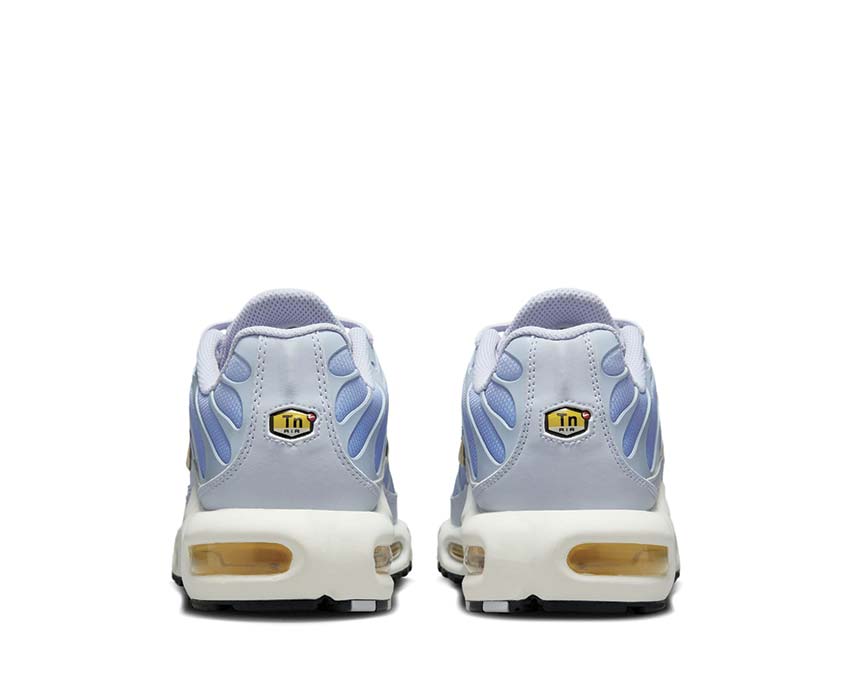 Nike Air Max Plus Ghost / Pale Vanilla - Aluminum - Black DZ3670-004 
