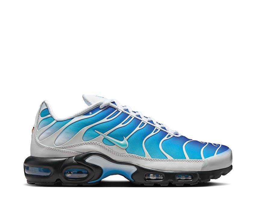 Nike Air Max Plus One Black Down "Reverse" LT Photo Blue / Aurora Green - Photon Dust FZ3308-400
