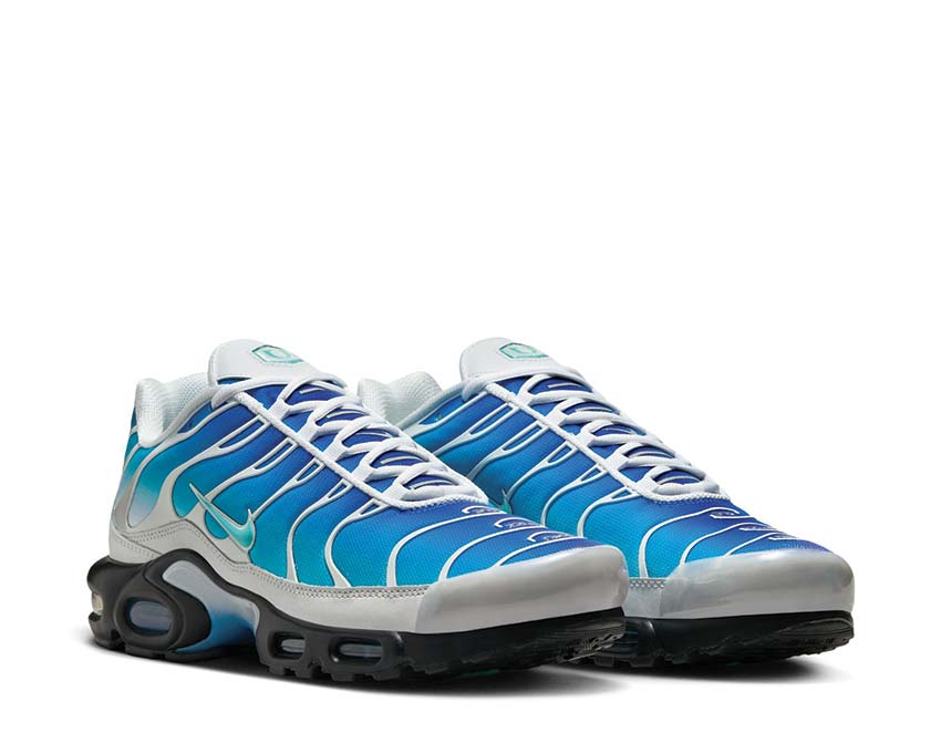 Buy Nike Air Max Plus One Black Down Reverse FZ3308 400 NOIRFONCE