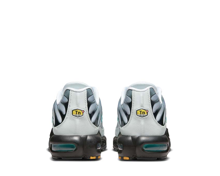 Nike Air Max Plus One Black Down Reverse