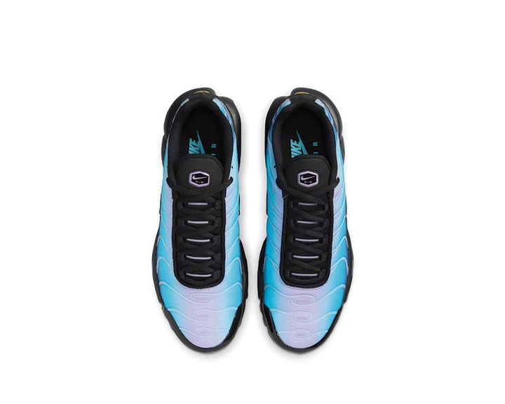 Nike Air Max Plus One Block Down Black / Black - Hydrangeas - Football Grey HV2510-001