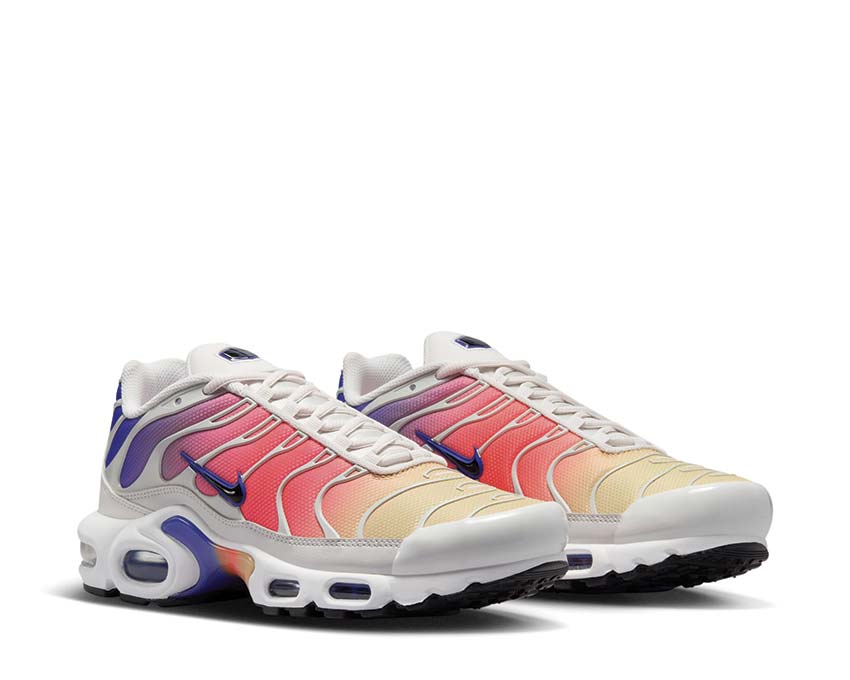 Nike Air Max Plus Farbverlauf DZ3670 003 kaufen NOIRFONCE