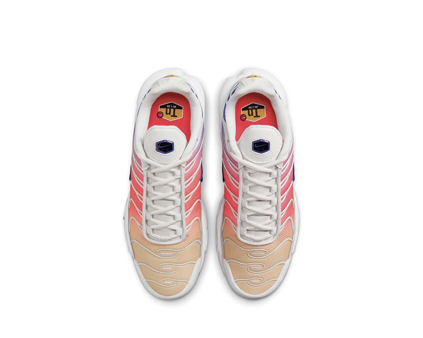 Nike Air Max Plus Farbverlauf DZ3670 003 kaufen NOIRFONCE