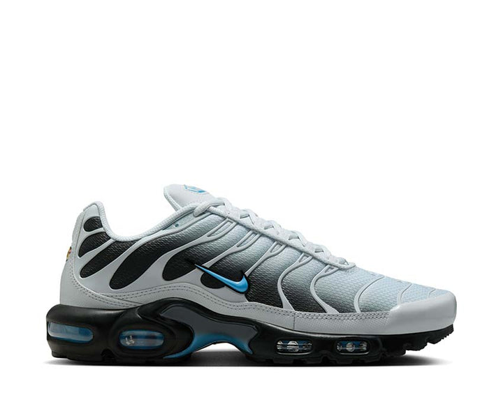 Nike Air Max Plus Pure Platinum / University Blue DM0032-015