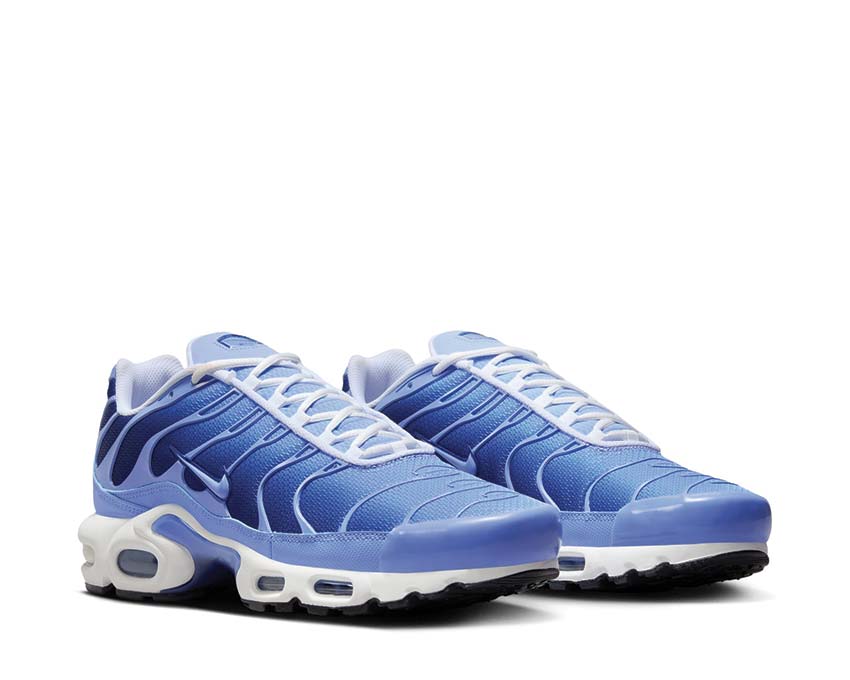 Nike Air Max Plus Royal Pulse / Royal Pulse - Deep Royal Blue DM0032-403